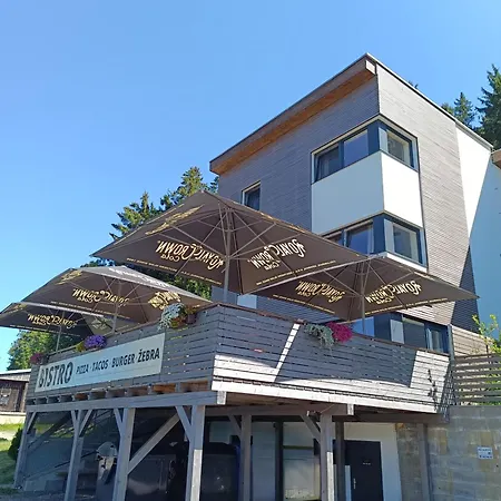 Panelka Costa Plana Lipno Appartement